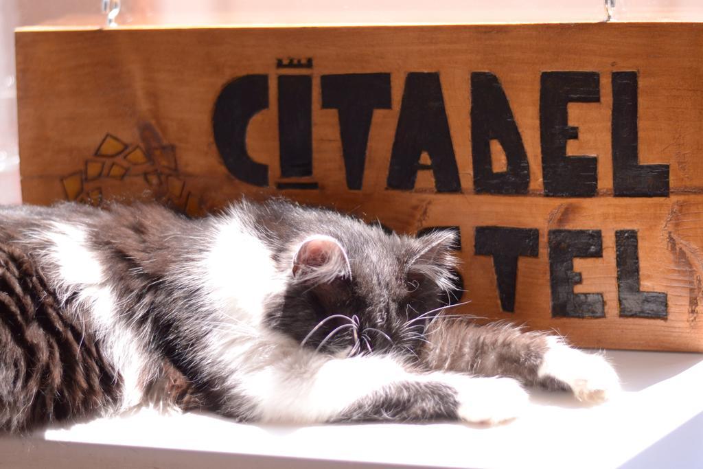 Citadel Hostel Alba Iulia Esterno foto